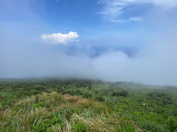 日本・八丈島「八丈島」の写真：なんとか上まできた
頂上は鉢を回る
