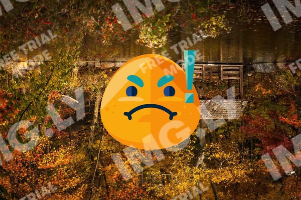 アメリカ(米国)「ongoing」の写真