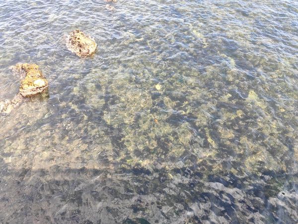 日本「あああ」の写真