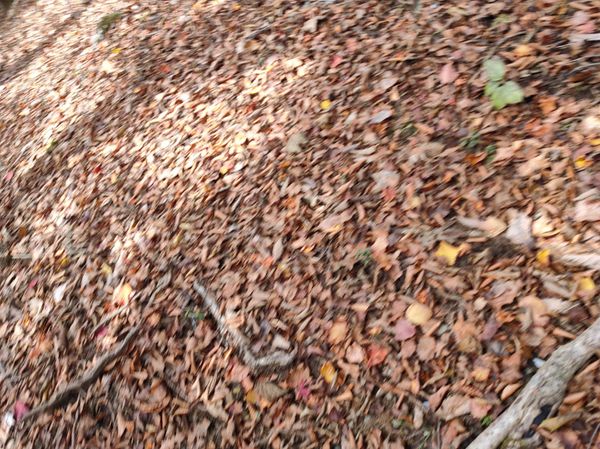 アイスランド「ongoing」の写真