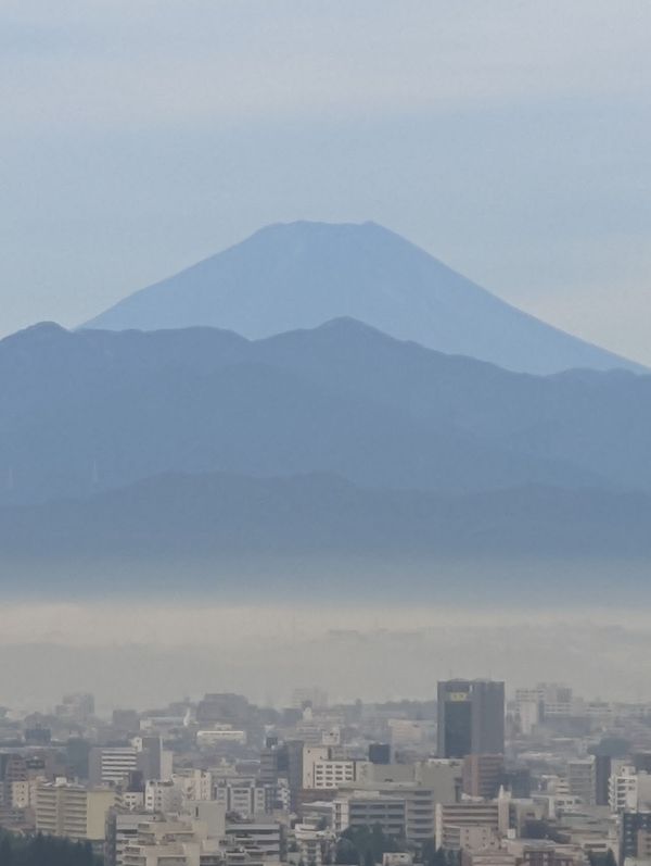 日本・沖縄県「日本代表」の写真