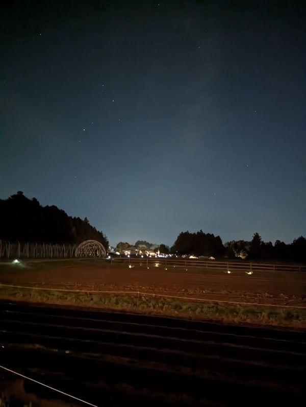 日本・沖縄県「日本代表」の写真